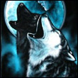 NightWolF